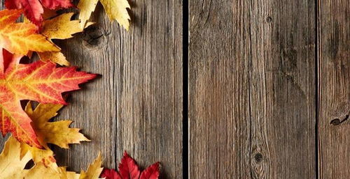 獨立站聯盟營銷流程