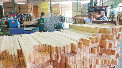 一樹興業，爭做道地“香杉人”——從南湖紅船看柳州杉木產業的傳承與創新