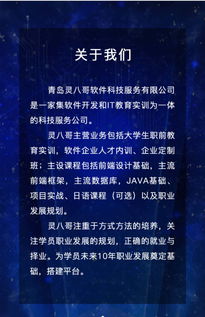 靈八哥軟件科技服務(wù) 以卓越信譽(yù)引領(lǐng)軟件開(kāi)發(fā)與定制，打造高性價(jià)比技術(shù)解決方案